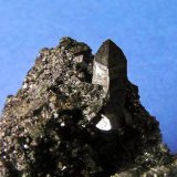 Allanita
Cristal de 1,8 cm
(Autor: Nacho)