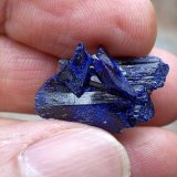 Azurita
2 x 1,3 cm
(Autor: Cristalino)