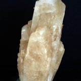 Celestina
10.5 x 4.5 cm
(Autor: Pedro Antonio)