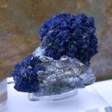 Azurita
2,4 x 2,3 x 1,5 cm
(Autor: Cristalino)
