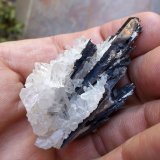 Hübnerita y Cuarzo
4,5 x 3 cm
(Autor: Cristalino)