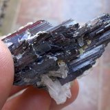 Hübnerita y Cuarzo
4,5 x 3 cm
(Autor: Cristalino)