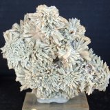Aragonito
9 x 7.5 cm
(Autor: Pedro Antonio)