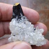 Hübnerita y Cuarzo
4,5 x 3 cm
(Autor: Cristalino)
