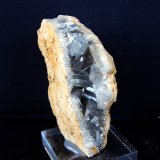 Celestina
6.5 x 2 cm
(Autor: Pedro Antonio)