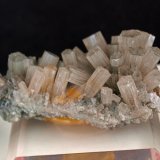 Aragonito
5.5 x 3 cm
(Autor: Pedro Antonio)