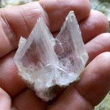 Yeso
3 x 3 cm
(Autor: Cristalino)