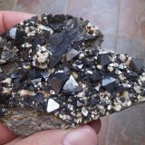 Magnetita
8 x 5 cm
(Autor: Cristalino)