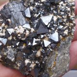Magnetita
8 x 5 cm
(Autor: Cristalino)