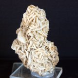 Cuarzo (variedad calcedonia)
5.5 x 4 cm
(Autor: Pedro Antonio)