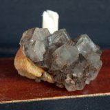 Aragonito
3 x 2 cm
(Autor: Pedro Antonio)