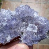 Fluorita
8 x 5 cm
(Autor: Cristalino)