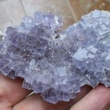 Fluorita
8 x 5 cm
(Autor: Cristalino)