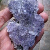 Fluorita
8 x 5 cm
(Autor: Cristalino)