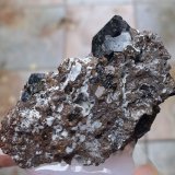 Augita
3 x 3 cm (cristal de 1 cm)
(Autor: Cristalino)