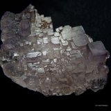 Fluorita.
40x30 mm.
(Autor: Jesus Franquesa Baucells)