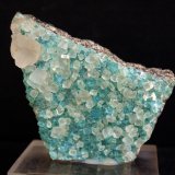 Fluorita y Calcita
7 x 6 cm
(Autor: Pedro Antonio)