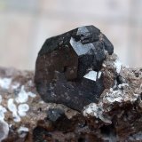Augita
3 x 3 cm (cristal de 1 cm)
(Autor: Cristalino)