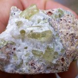 Fluorapatito
2,5 x 4 cm
(Autor: Cristalino)