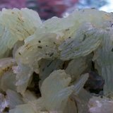 Prehnita y augita
Tamaño de la pieza 6 x 4 cm. Detalle de algunos cristales.
(Autor: Cristalino)