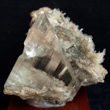 Yeso
6 x 6 cm
(Autor: Pedro Antonio)