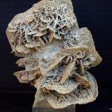 Yeso
10.5 x 9 cm
(Autor: Pedro Antonio)