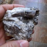 Andalucita
Cristal de 4 cm
(Autor: Cristalino)