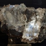 Yeso
11 x 6 cm
(Autor: Pedro Antonio)