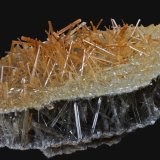 Yeso
9,2 x 8,9 x 2,4 cm.
(Autor: Xavier bordas)