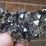 Magnetita
6 x 3,5 cm
(Autor: Cristalino)