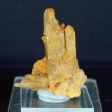 Celestina
4 x 3 cm
(Autor: Pedro Antonio)