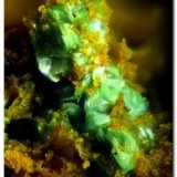 Parnauita.
Encuadre 1 mm.
(Autor: Rafa Muñoz(mineralvarado))