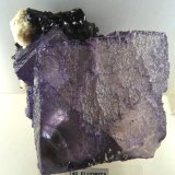 Fluorita y Esfalerita
80x80 mm.
(Autor: Jesus Franquesa Baucells)