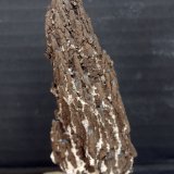 óxidos de manganeso
9 x 3.5 cm
(Autor: Pedro Antonio)