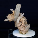 Celestina
4 x 3 cm
(Autor: Pedro Antonio)