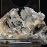 Celestina
6 x 3.5 cm
(Autor: Pedro Antonio)