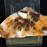 Opalo con dendritas de óxidos de manganeso
7 x 3 cm
(Autor: Pedro Antonio)