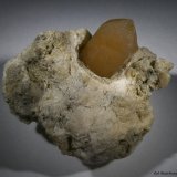 Cuarzo.
73x51 mm. Crit. 28x16 mm.
(Autor: Jesus Franquesa Baucells)