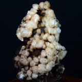 Celestina
5.5 x 4 cm
(Autor: Pedro Antonio)
