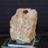 Almandino (Grupo Granate)
4 x 3.5 cm
(Autor: Pedro Antonio)