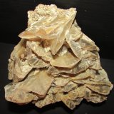 Yeso
14 x 12'5 cm
(Autor: Jordi Franco)