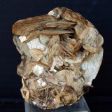 Moscovita (Grupo Mica)
7.5 x 6.5 cm
(Autor: Pedro Antonio)