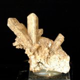 Celestina
6 x 4 cm
(Autor: Pedro Antonio)