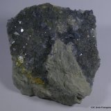 Celestina.
80x75 mm.
(Autor: Jesus Franquesa Baucells)