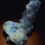 Celestina.
110x60 mm.
(Autor: Jesus Franquesa Baucells)