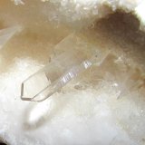 Yeso
Cristal de 2 cm aprox.
(Autor: Jordi Franco)