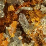 Escorodita
Cristal más grande 1,6 x 0,3 mm
(Autor: Jorgina-Agusti-Màrius)