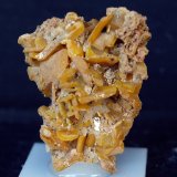 Wulfenita
4 x 3 cm
(Autor: Pedro Antonio)