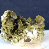 Clinozoisita
3.5 x 3 cm
(Autor: Pedro Antonio)