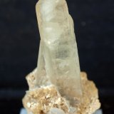 Celestina
4.5 x 2 cm
(Autor: Pedro Antonio)